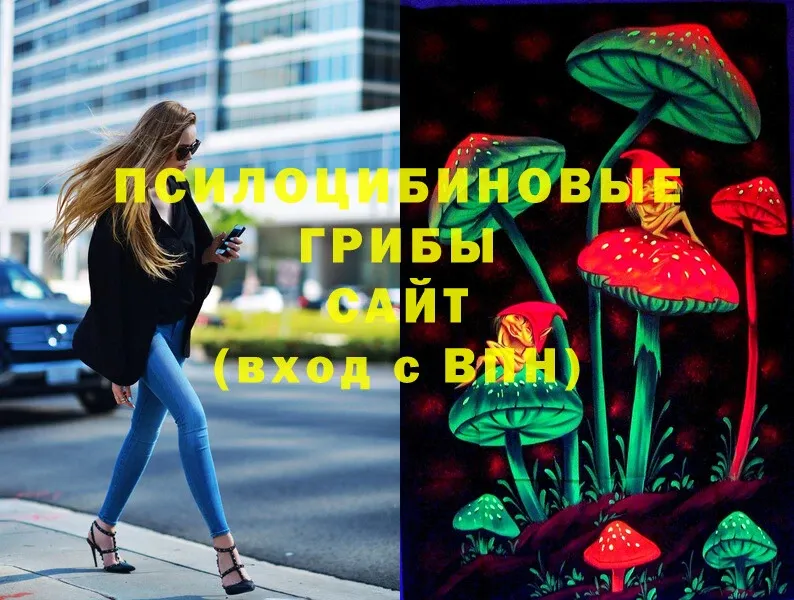 Галлюциногенные грибы MAGIC MUSHROOMS  купить наркотик  Починок 